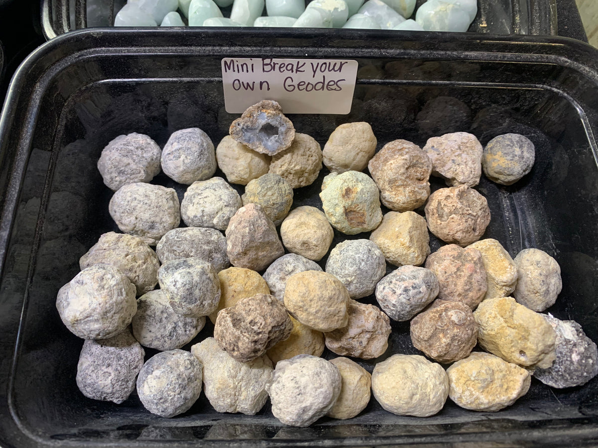 Mini Chihuahua Geodes – Crack Your Own