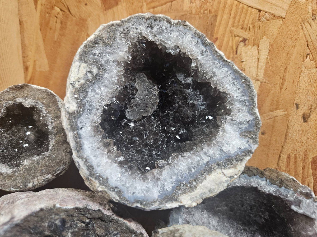 Las Choyas Mexican Coconut Geode – Chihuahua, Mexico