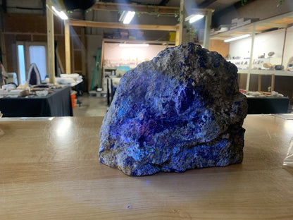 Close-up of blue lapis lazuli mineralization within natural host rock under UV light