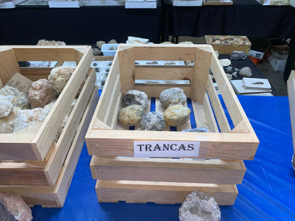 Selection of natural Trancas geodes from Chihuahua, Mexico at Earthforged