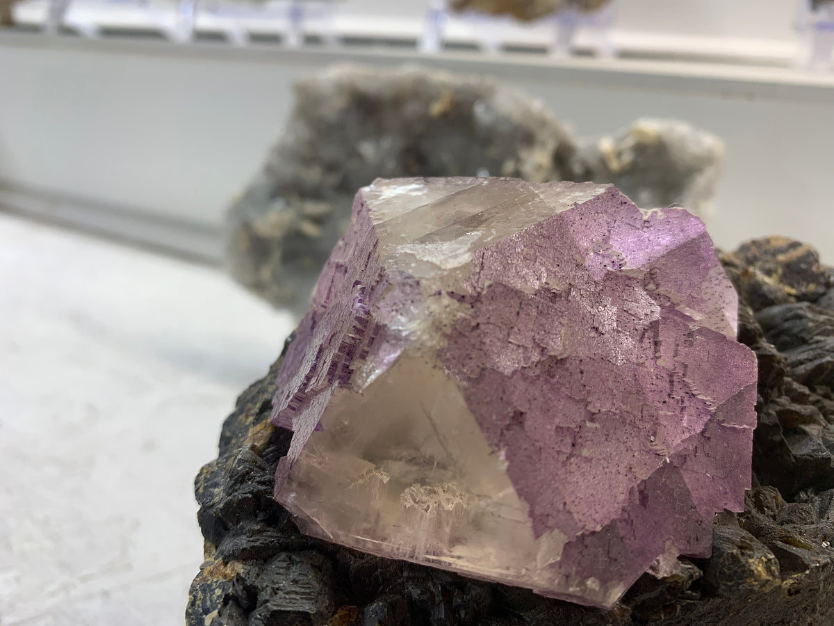 Lavender fluorite crystal on sphalerite matrix from Carthage Tennessee