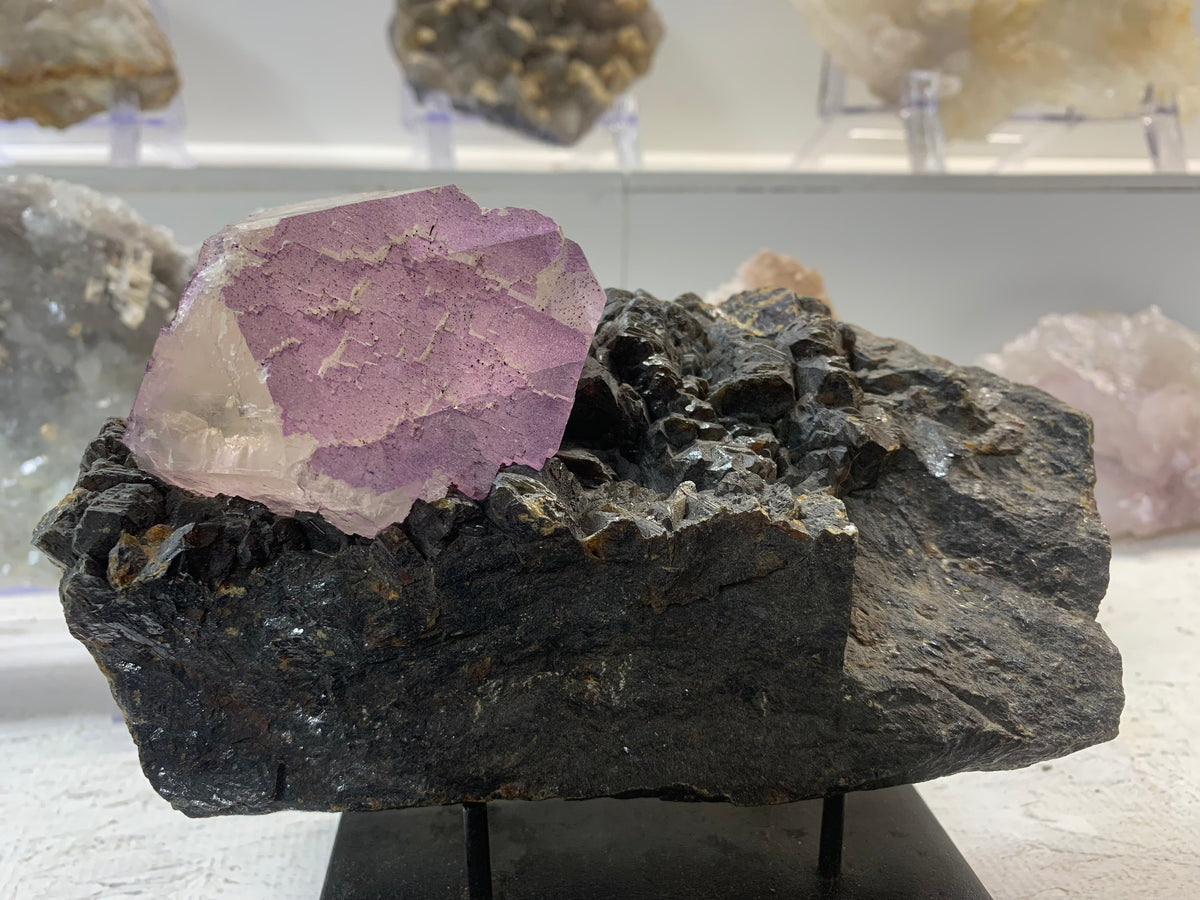 Elmwood Mine purple fluorite crystal on dark sphalerite collector specimen