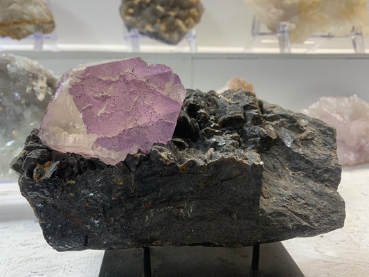 Elmwood Mine purple fluorite crystal on dark sphalerite collector specimen
