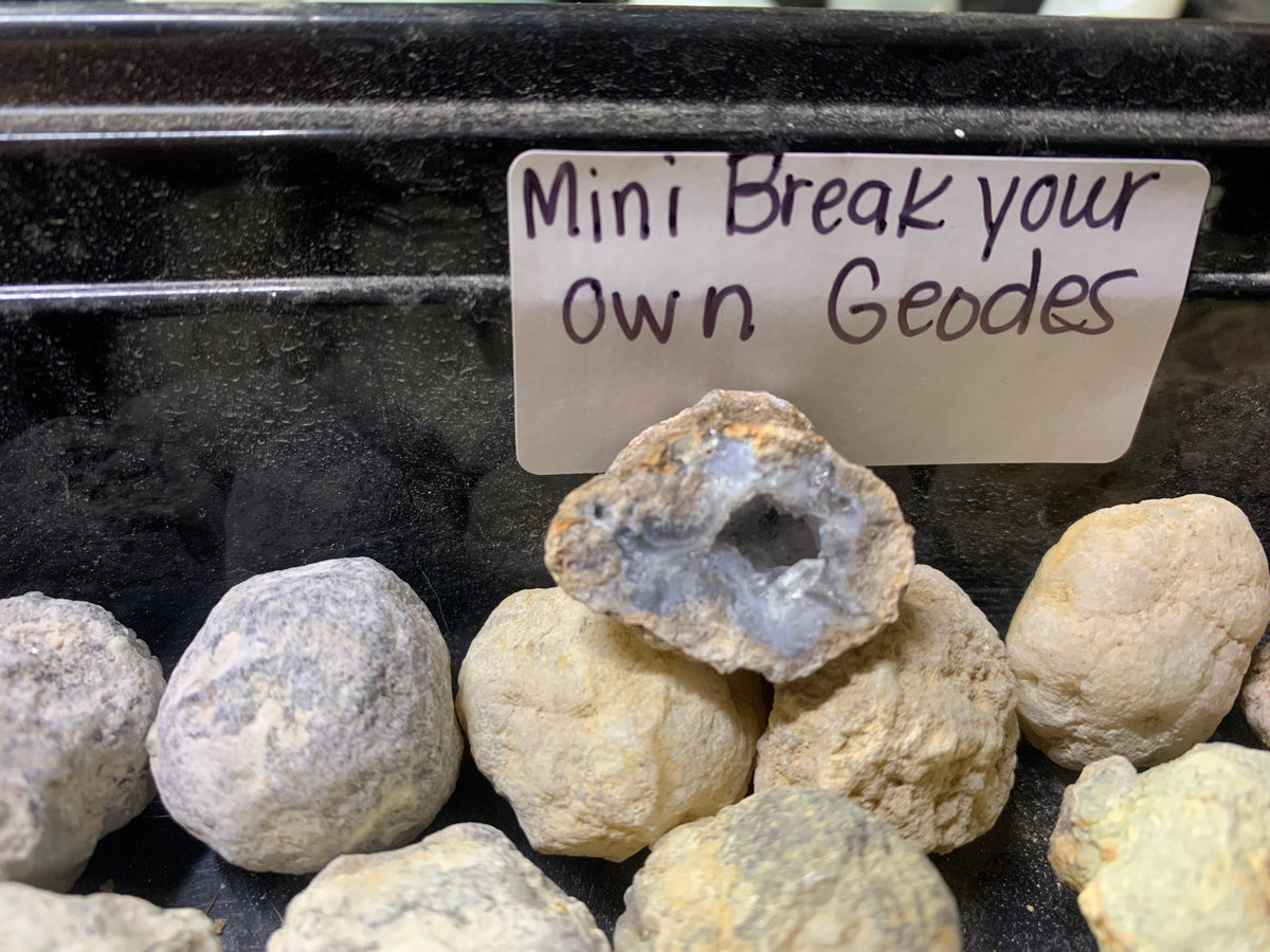 Mini natural geodes from Chihuahua, Mexico for cracking at home