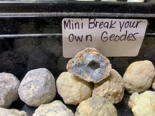 Mini natural geodes from Chihuahua, Mexico for cracking at home