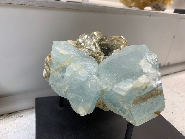 Natural pale blue aquamarine crystals on shimmering mica matrix displayed on a black mineral stand