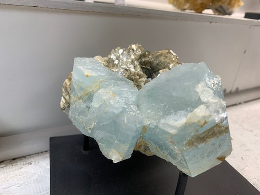 Natural pale blue aquamarine crystals on shimmering mica matrix displayed on a black mineral stand