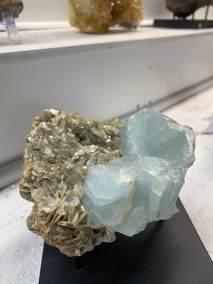 Aquamarine on Muscovite Collector Specimen