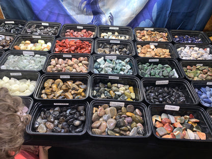 Assorted natural tumbled and polished gemstones displayed in individual trays at Earthforged Rock Shop.