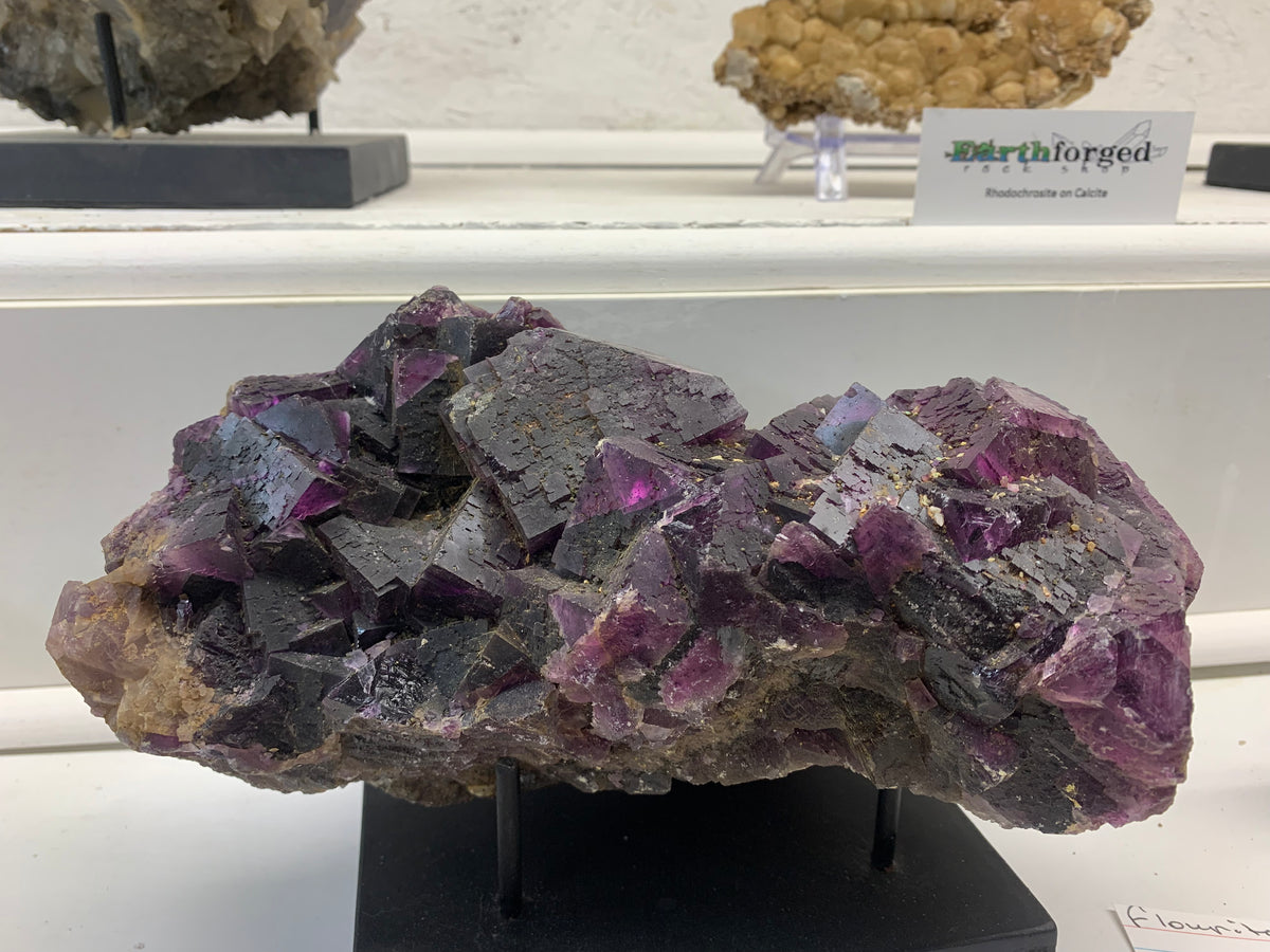 Deep purple Elmwood fluorite crystal specimen from Tennessee on natural matrix