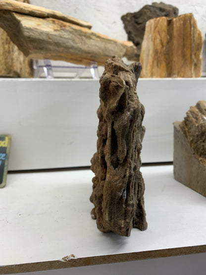- Natural wood grain and cavities on Alabama Brilliant Wood specimen