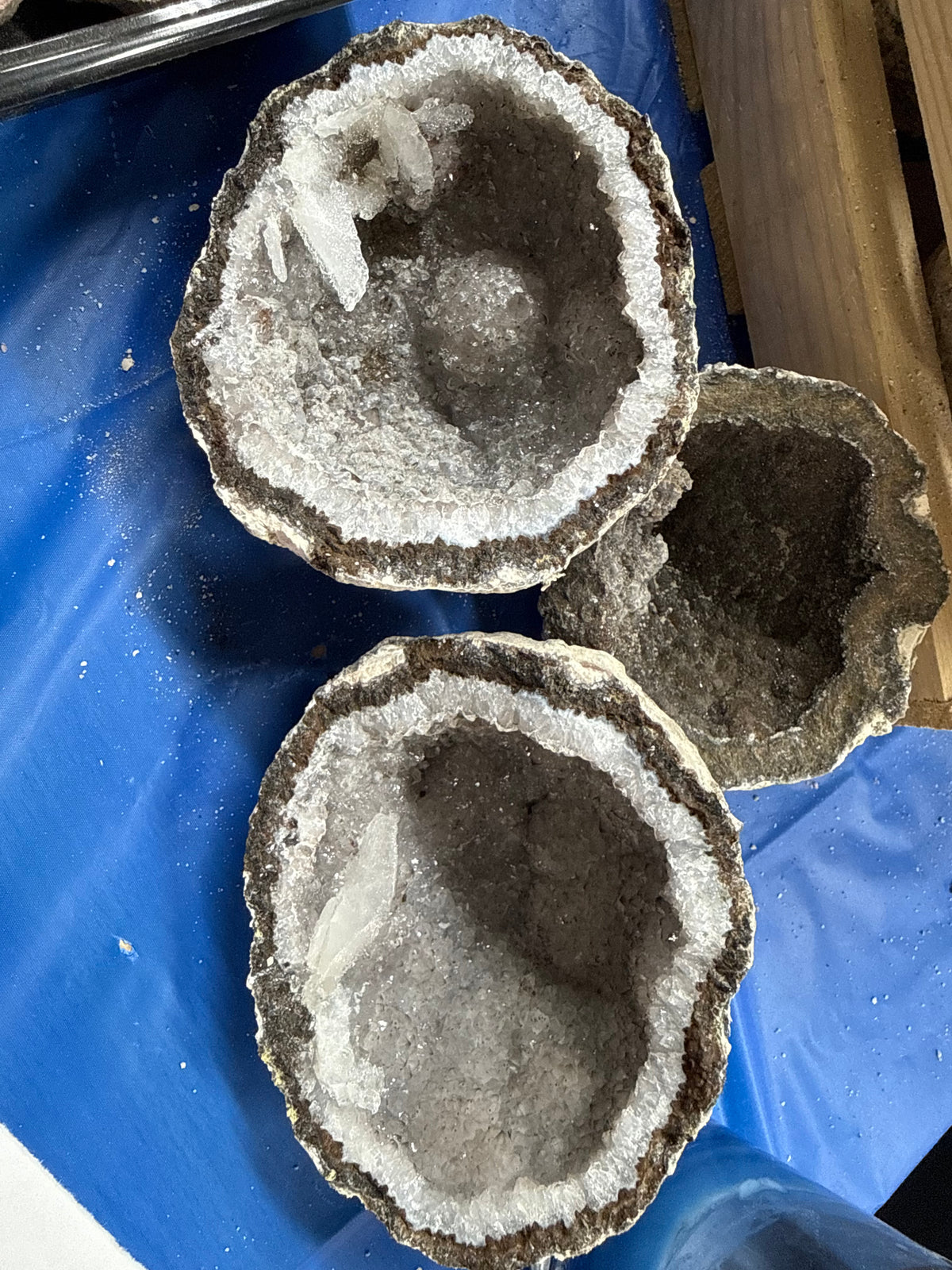 Las Choyas Mexican Coconut Geode – Chihuahua, Mexico