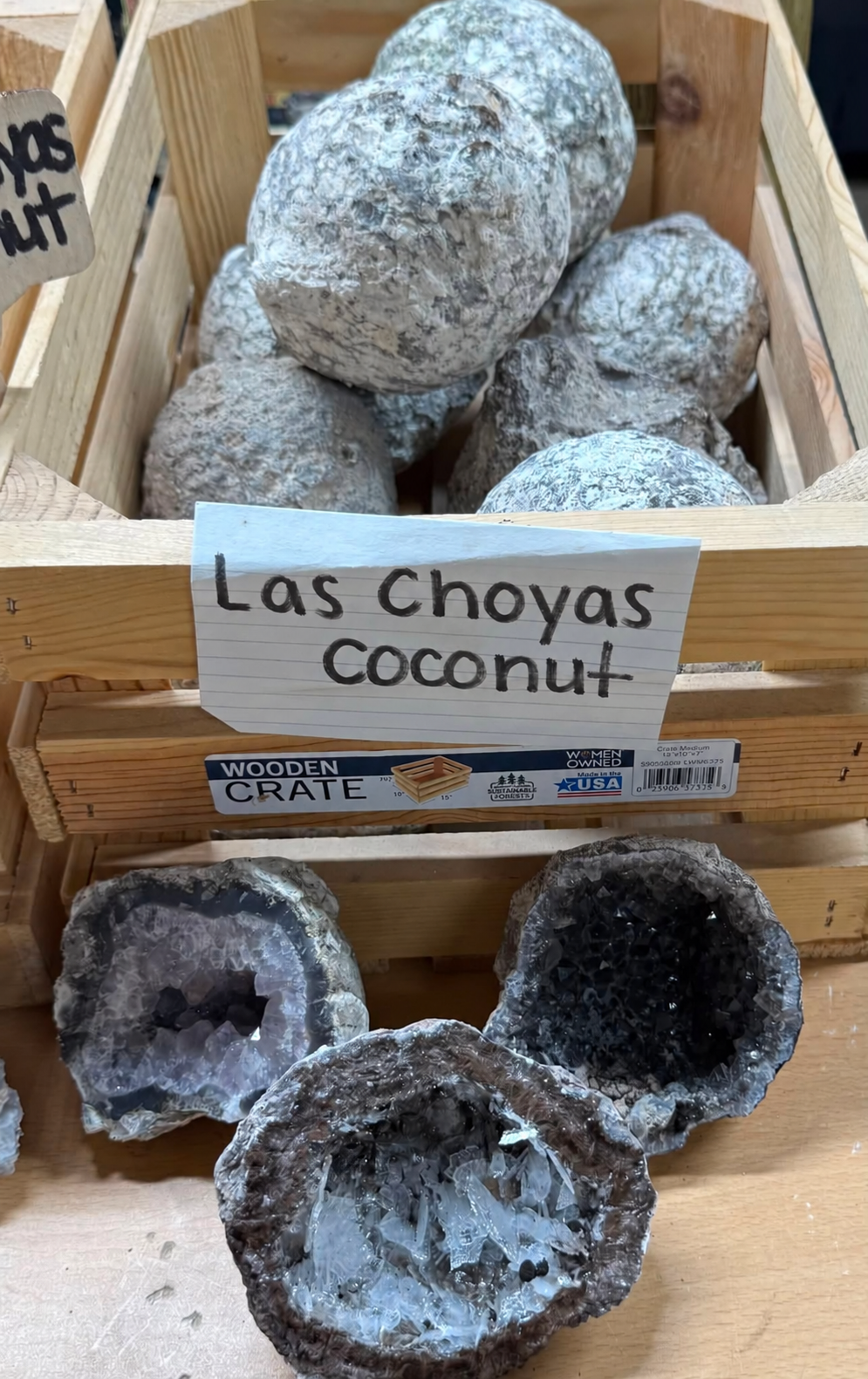 Las Choyas Mexican Coconut Geode – Chihuahua, Mexico