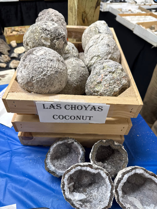Las Choyas Mexican Coconut Geode – Chihuahua, Mexico